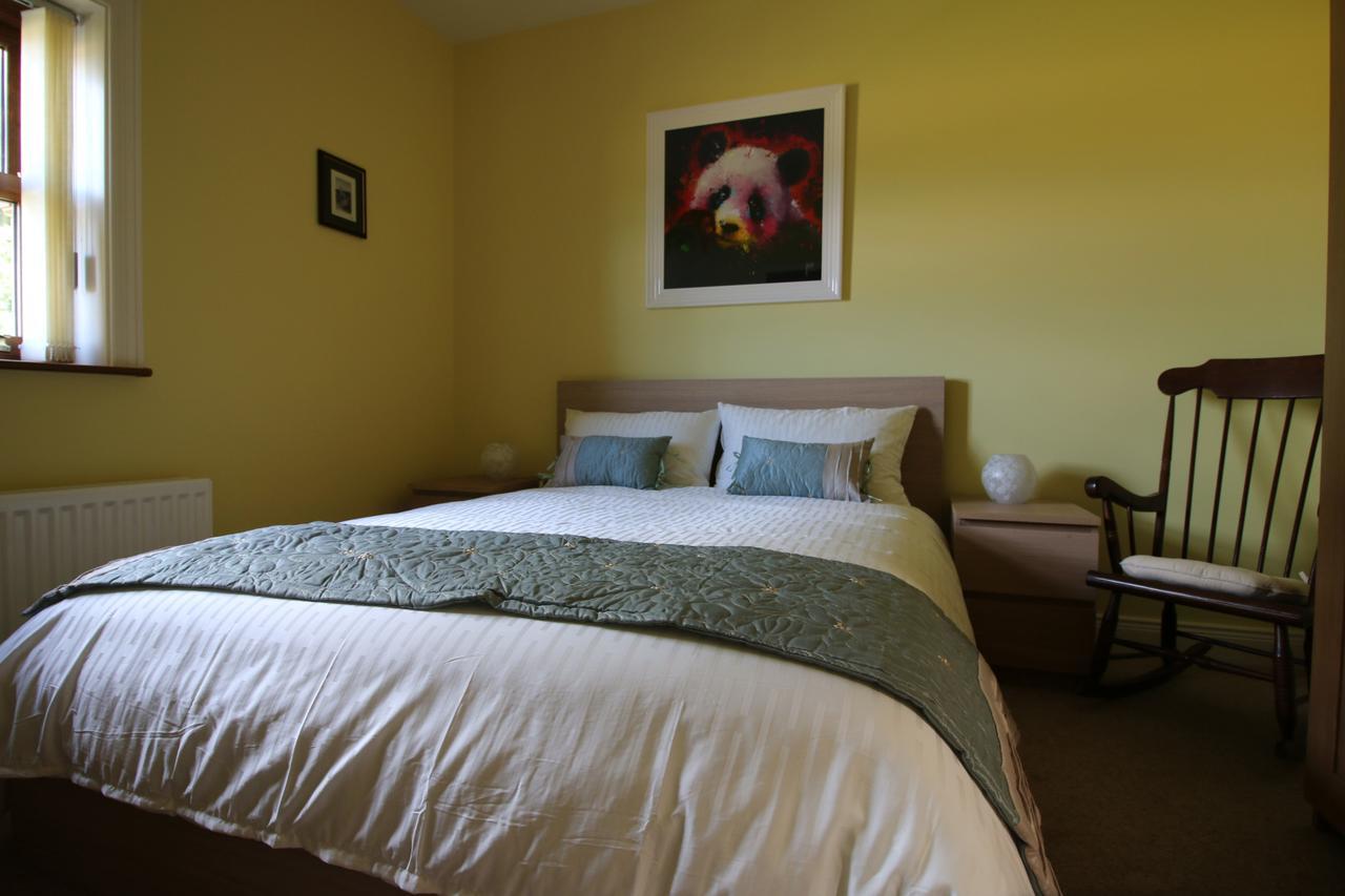 Feetnpaws Bed & Breakfast Portaferry Dış mekan fotoğraf