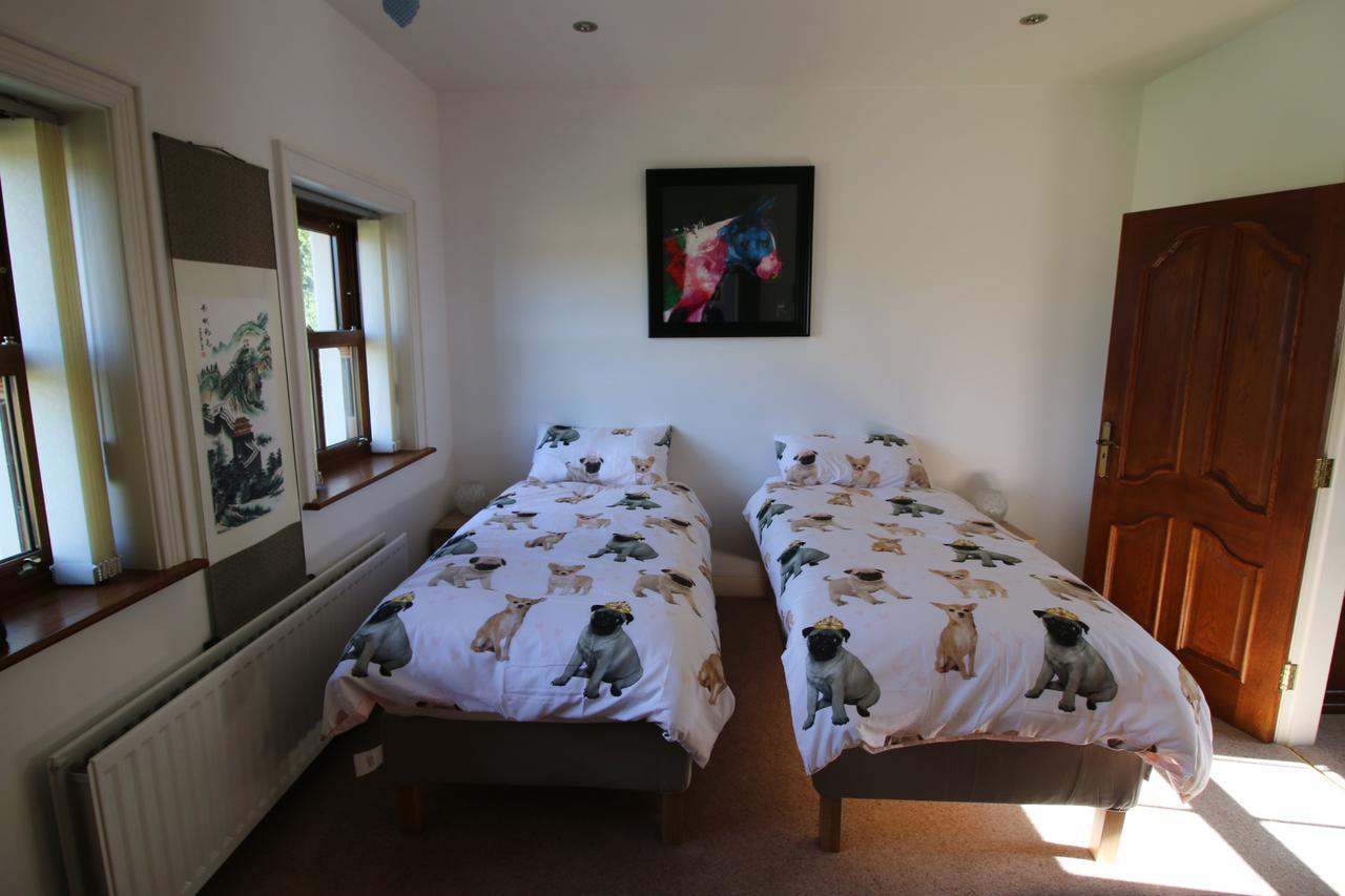 Feetnpaws Bed & Breakfast Portaferry Dış mekan fotoğraf