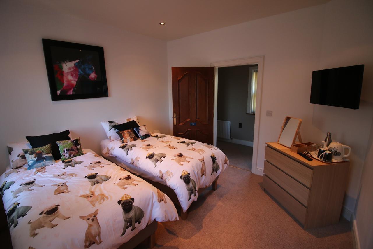 Feetnpaws Bed & Breakfast Portaferry Dış mekan fotoğraf