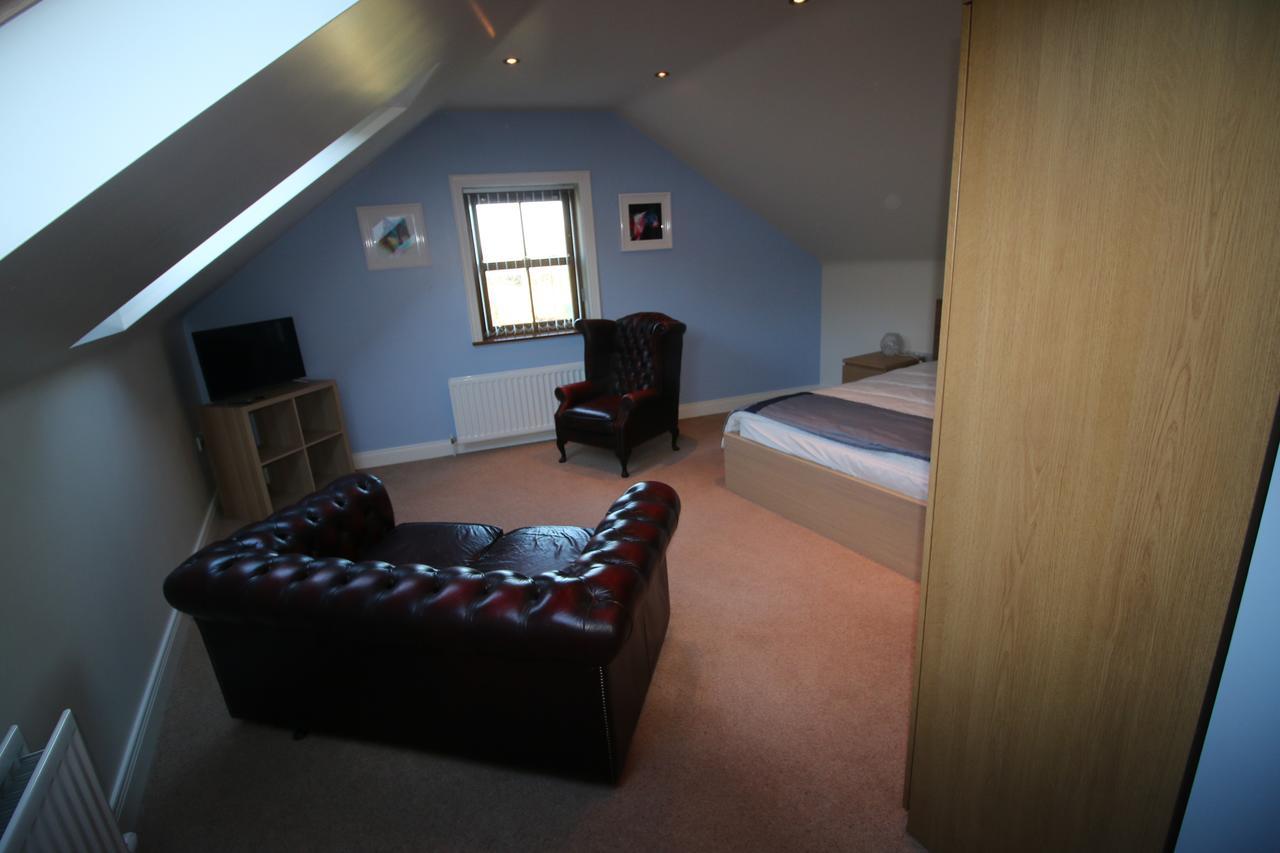 Feetnpaws Bed & Breakfast Portaferry Dış mekan fotoğraf