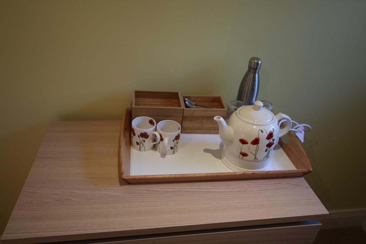 Feetnpaws Bed & Breakfast Portaferry Dış mekan fotoğraf